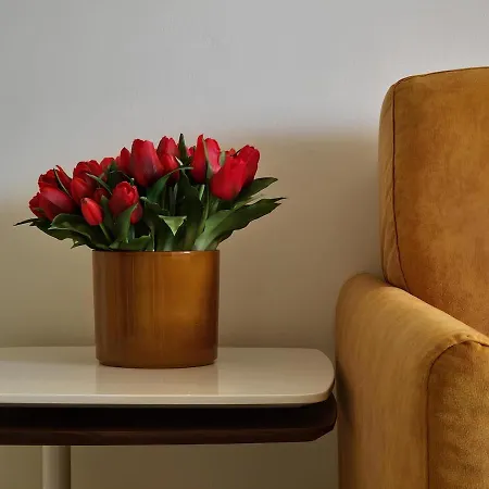 Appartement Campanella - Centro Storico Arezzo